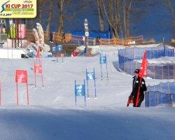 SKI CUP 2017